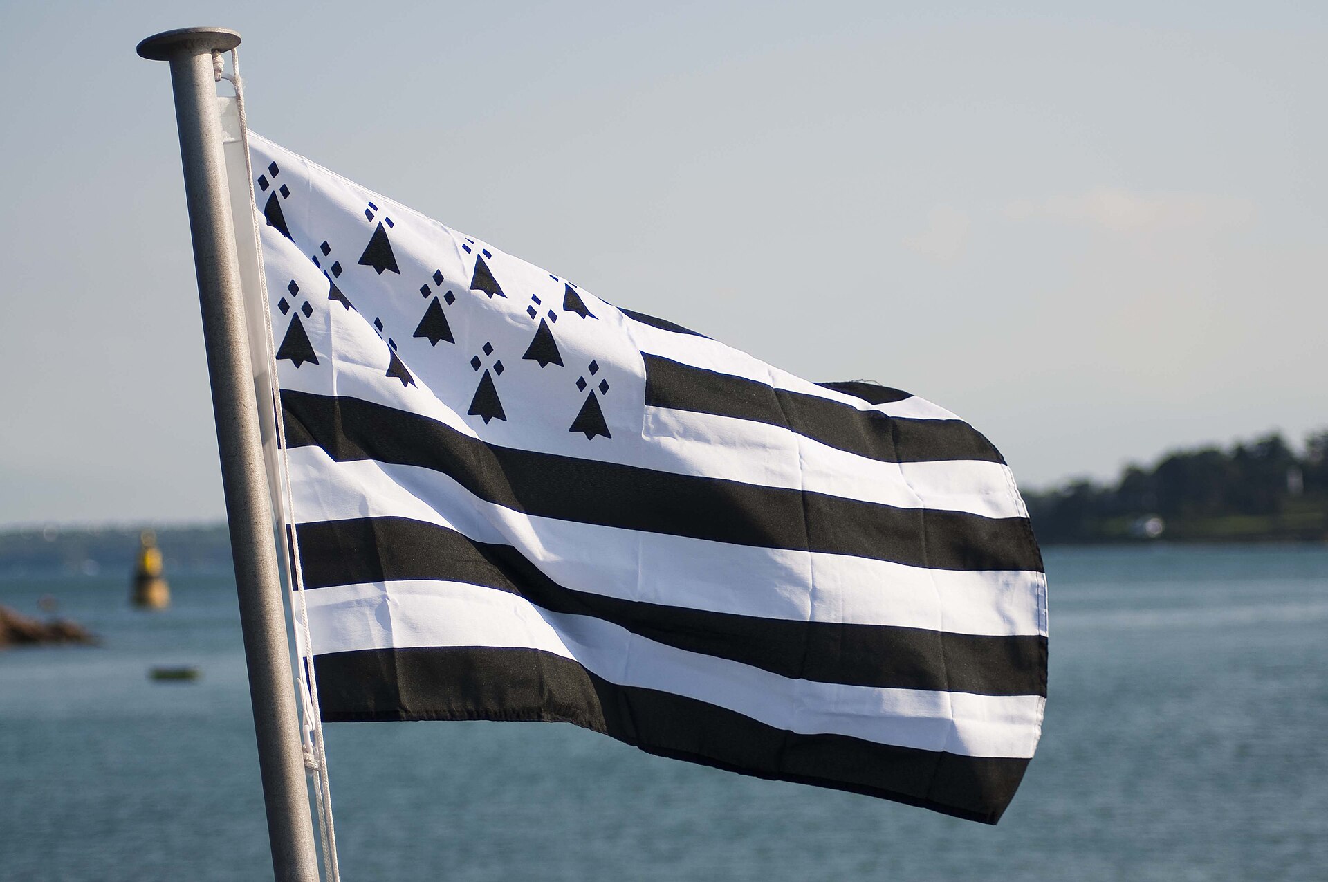 Image du drapeau breton flottant